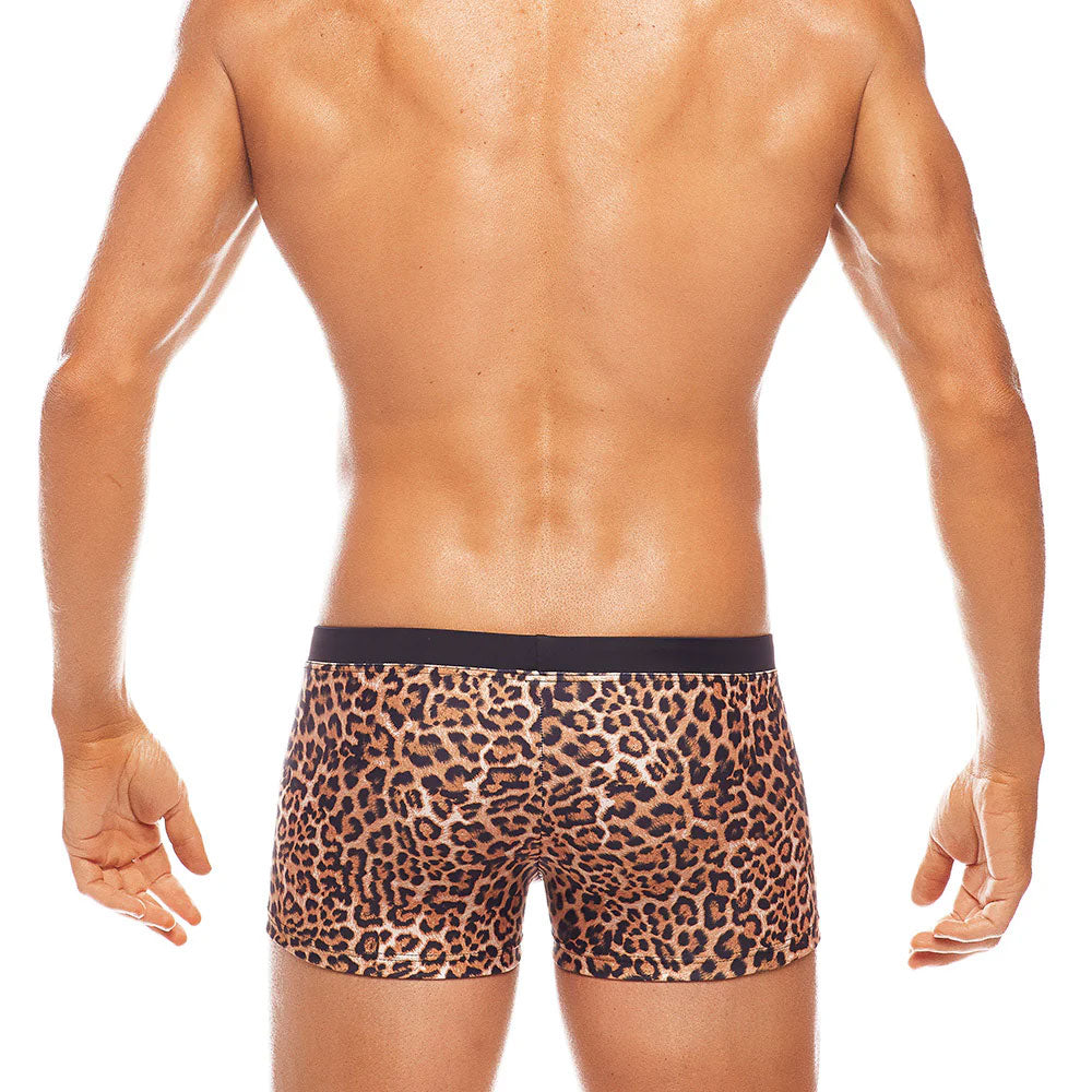 Africa Leopard Trunk