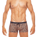 Africa Leopard Trunk