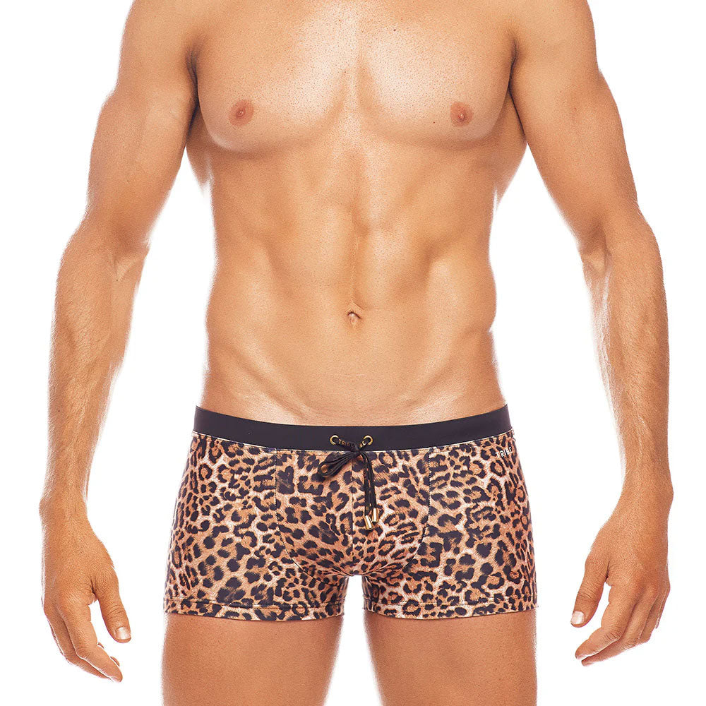 Africa Leopard Trunk