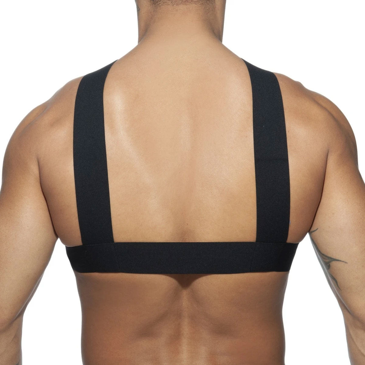 Double Ring Harness
