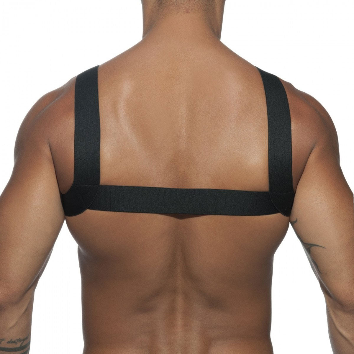 Basic Elastic Harness