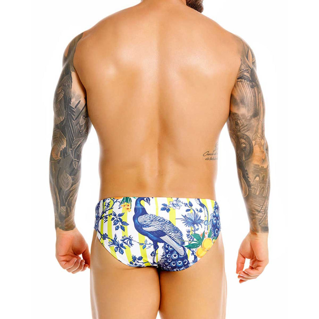 Feng Swim Brief