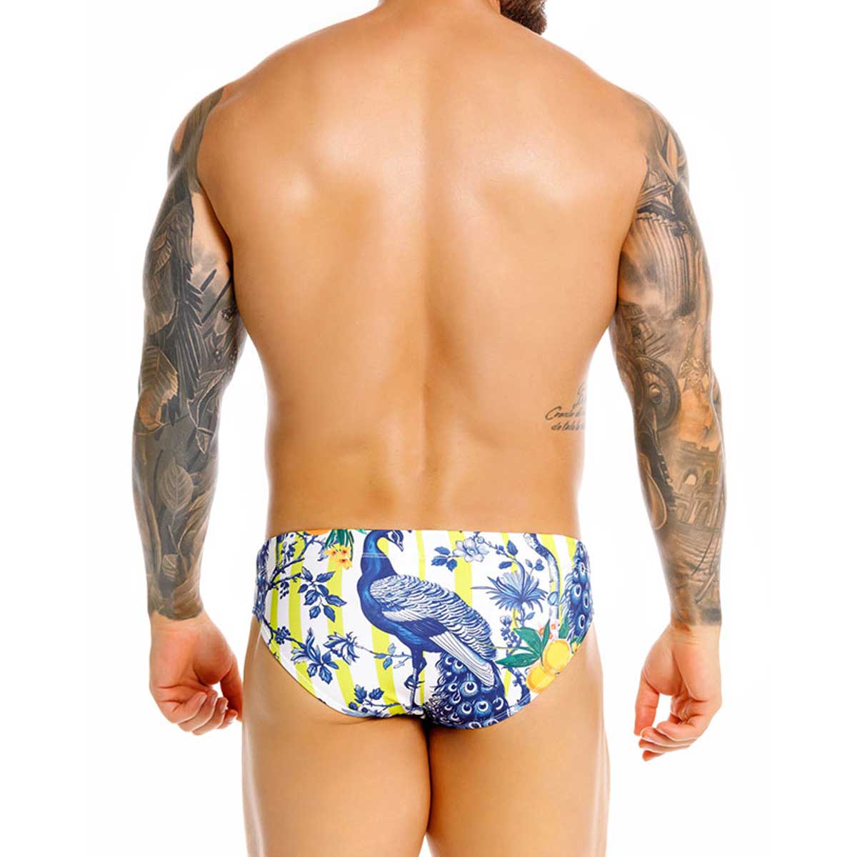 Feng Swim Brief