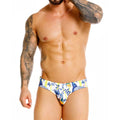 Feng Swim Brief