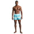 Abstract Brushstroke Swim Short