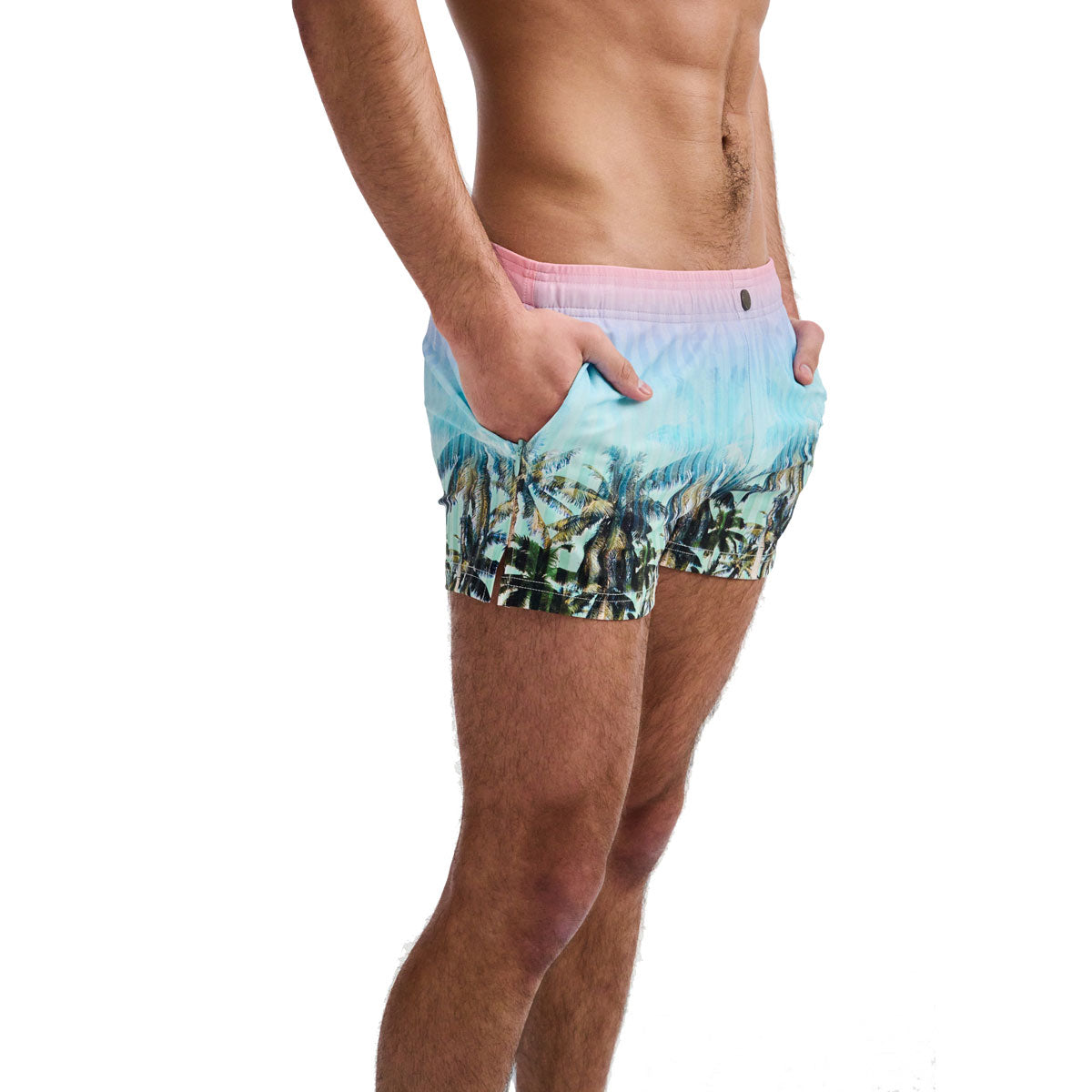 Palms Swim Shorts