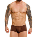 Invisible Boxer
