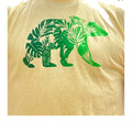 Monstera Bear