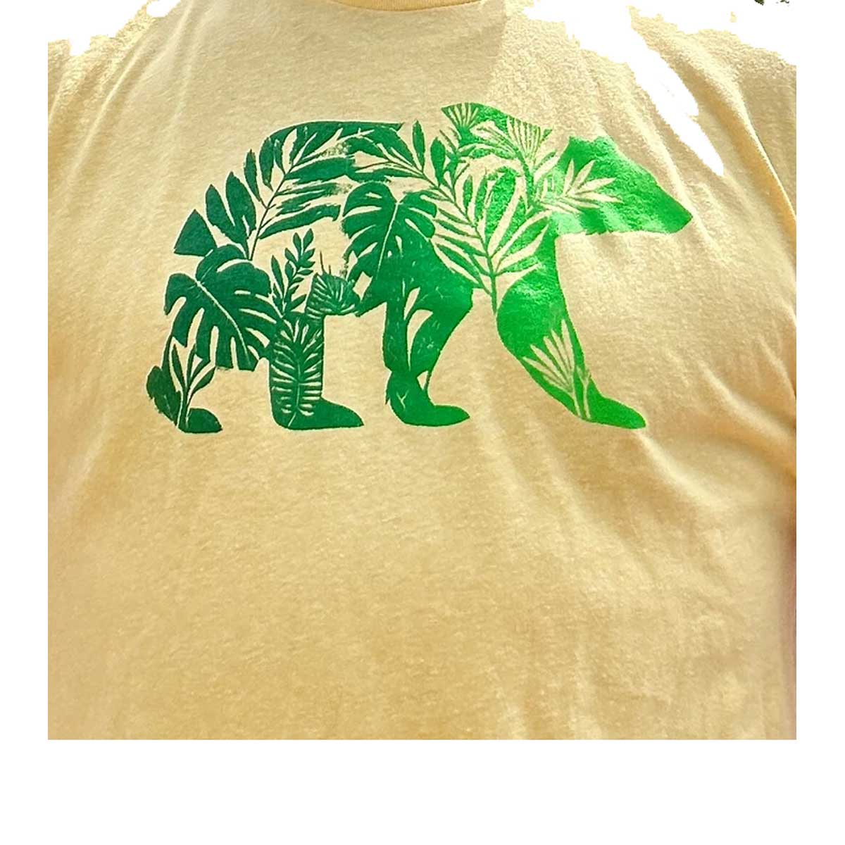 Monstera Bear