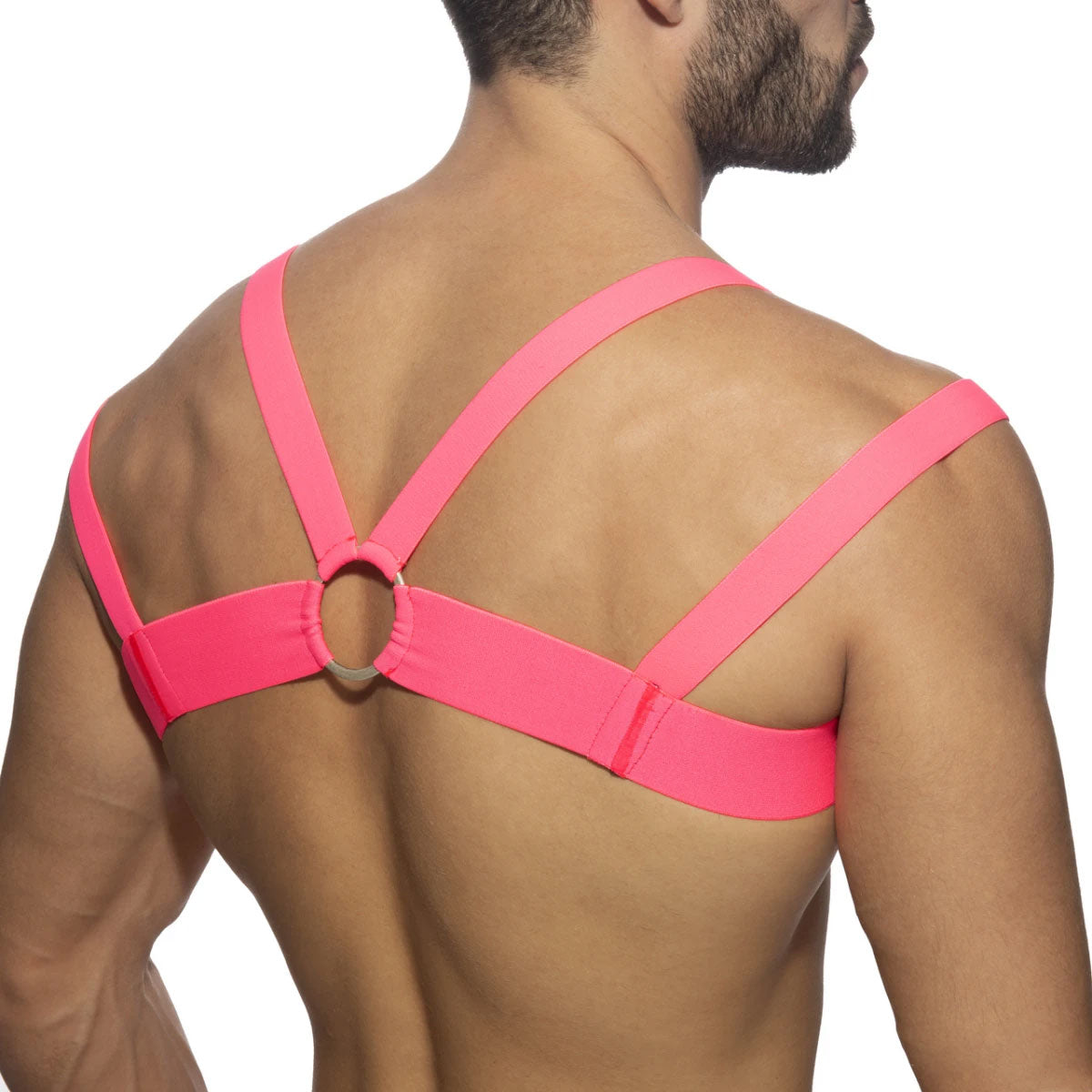Neon Multi Band Harness