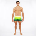 Gradient Swim Short