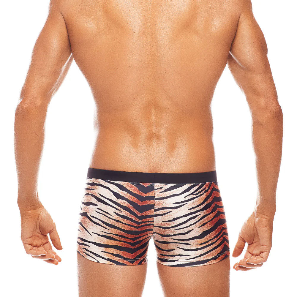Africa Tiger Trunk