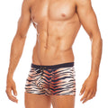 Africa Tiger Trunk