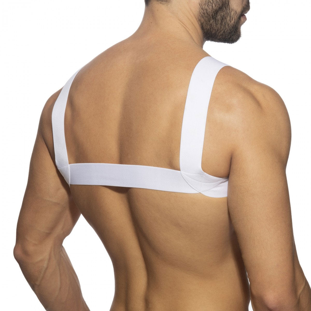 Basic Elastic Harness