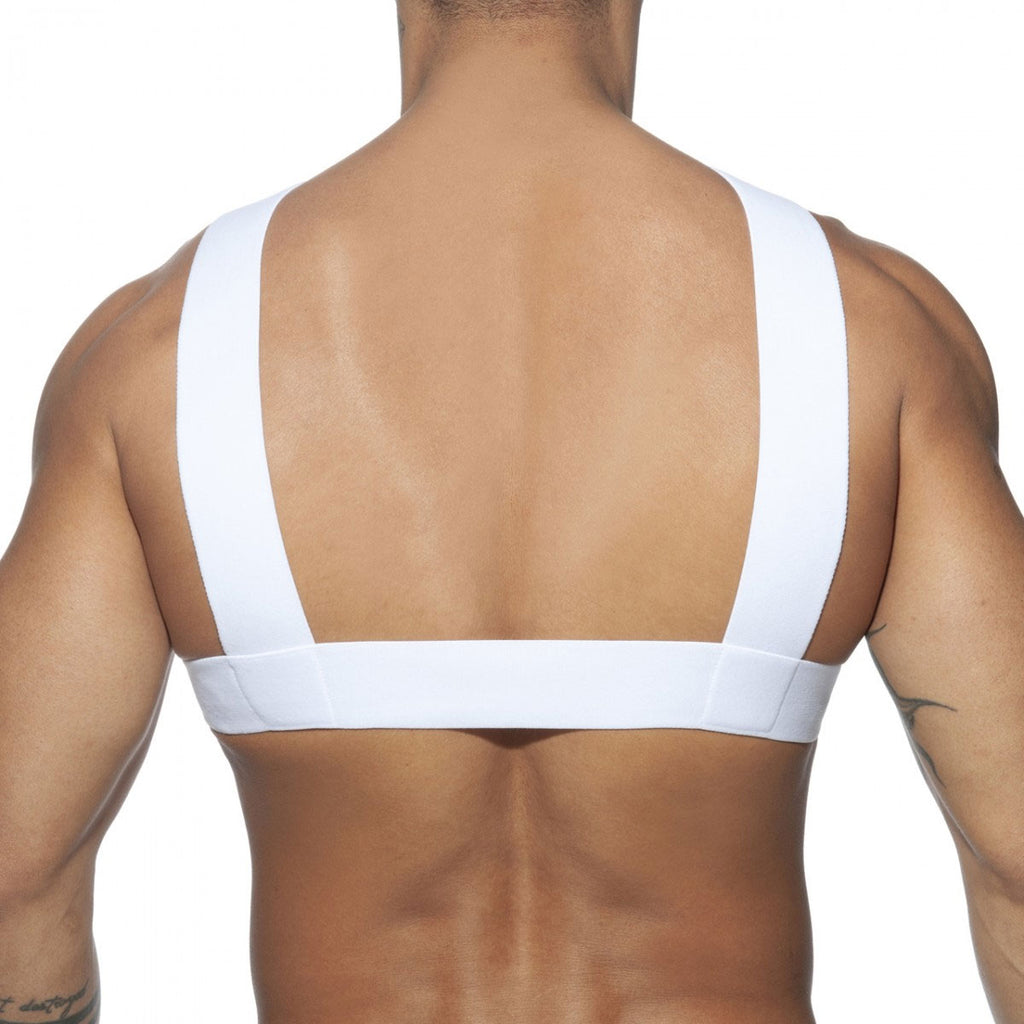 Double Ring Harness