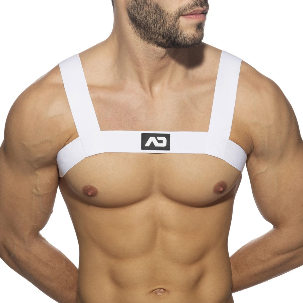 Basic Elastic Harness