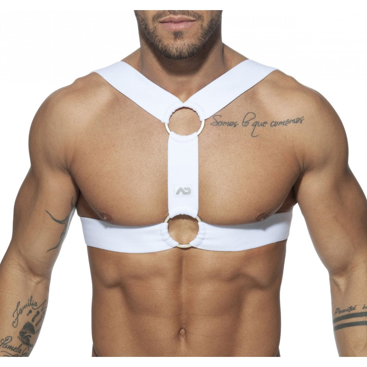 Double Ring Harness