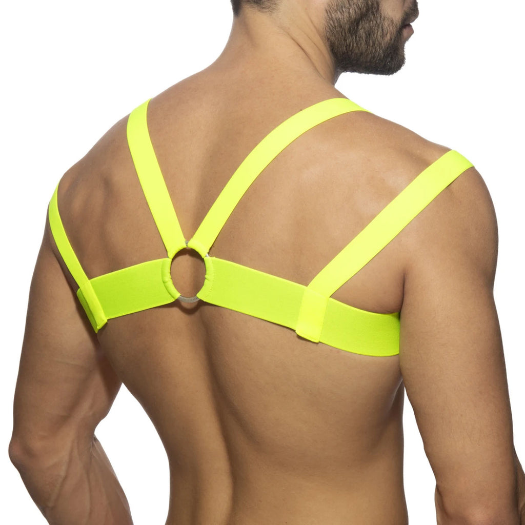 Neon Multi Band Harness