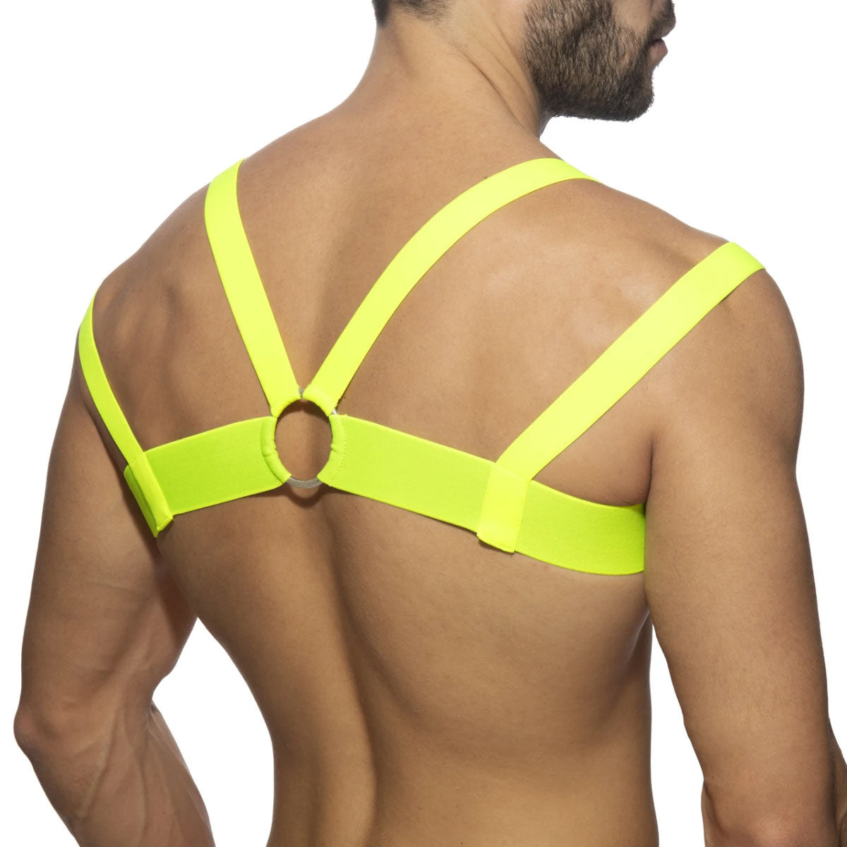 Neon Multi Band Harness