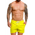 Hawaii Mini Short