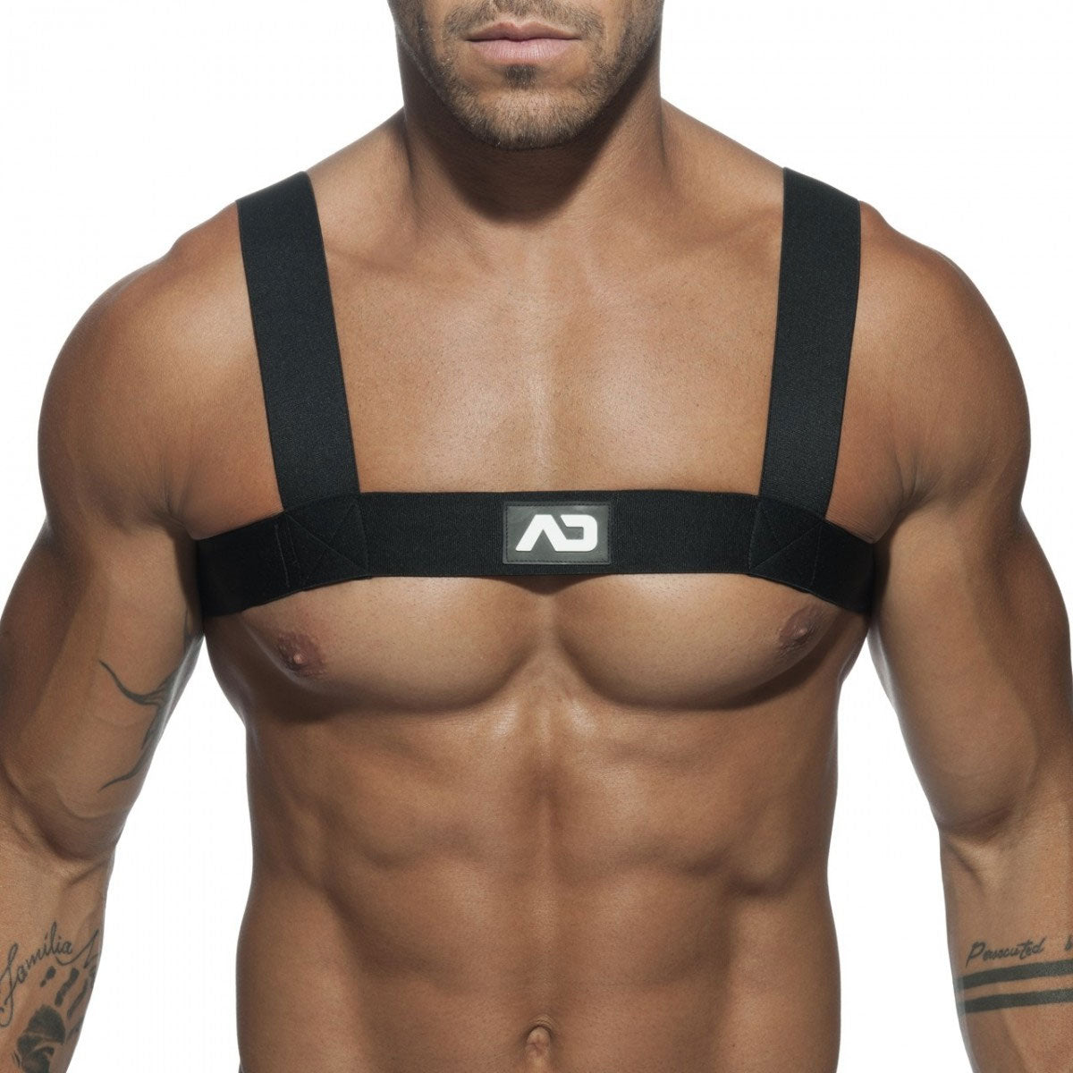 Basic Elastic Harness
